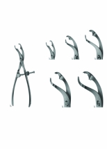 Bone Holding forceps